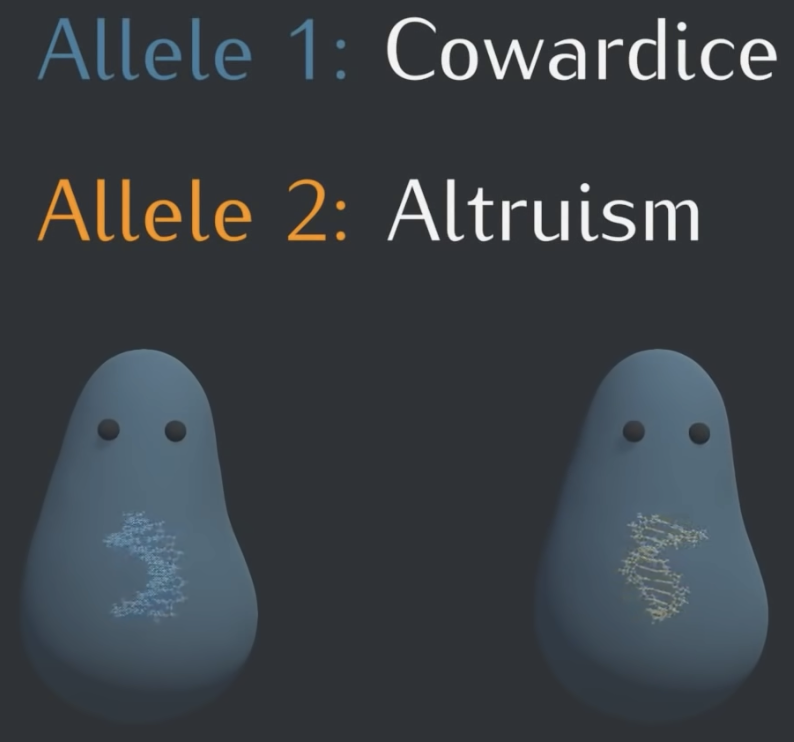 run or yell primer